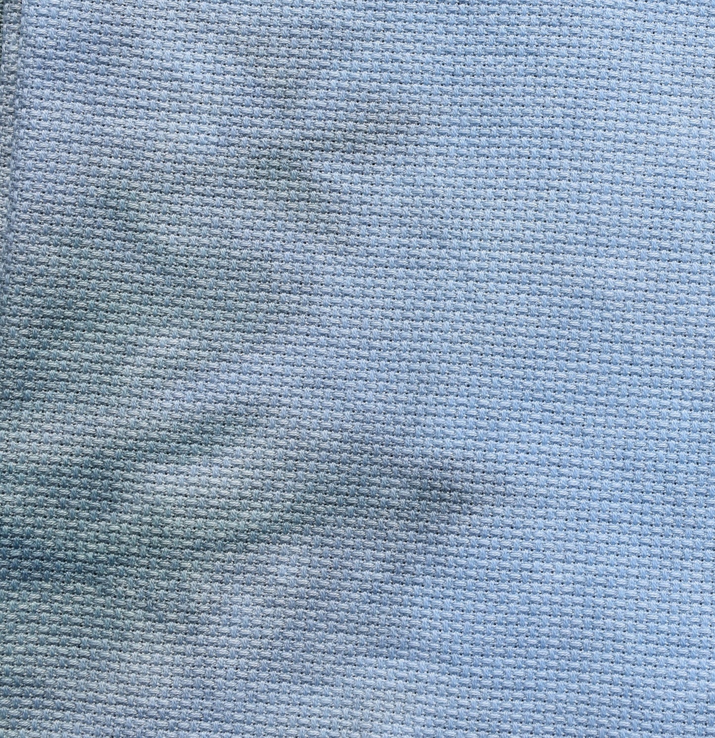 Blue Spruce (December 2024 Color FOTM)