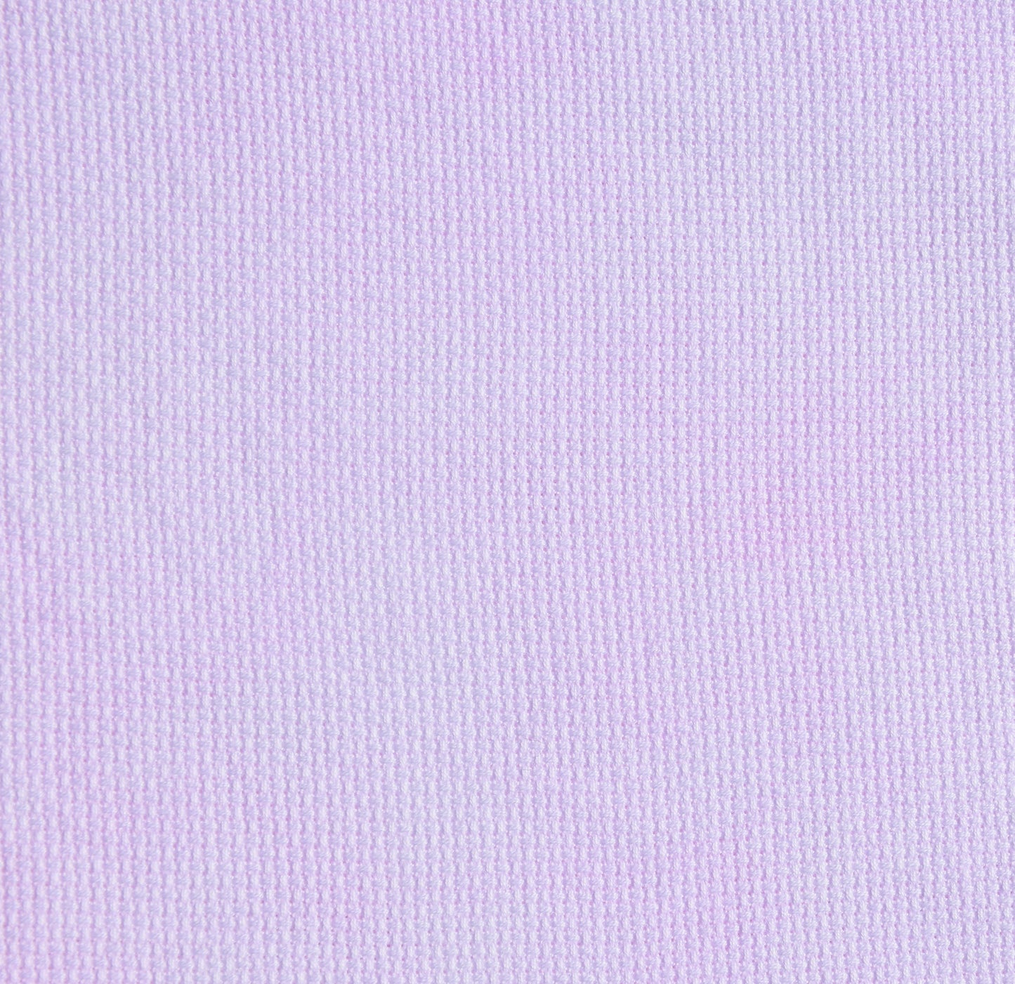 Cupid (Feb 2024 Neutral FOTM)