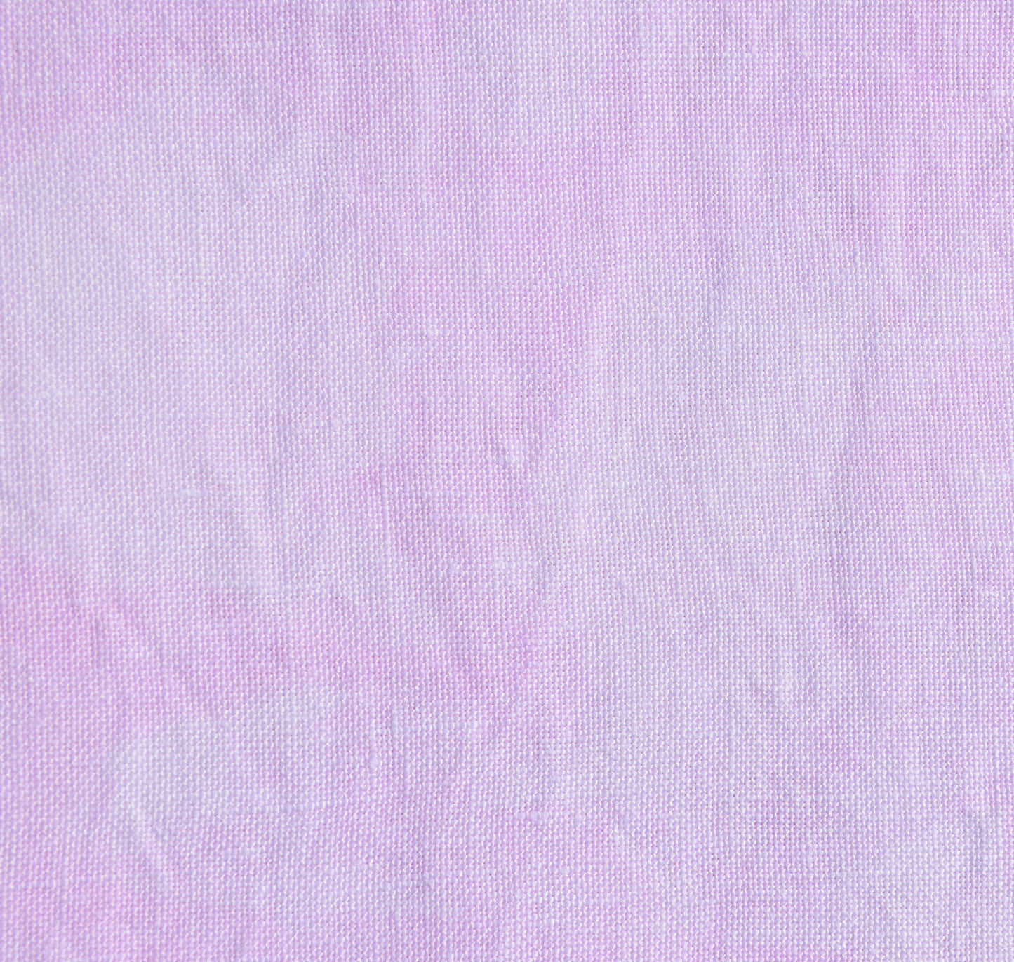 Cupid (Feb 2024 Neutral FOTM)