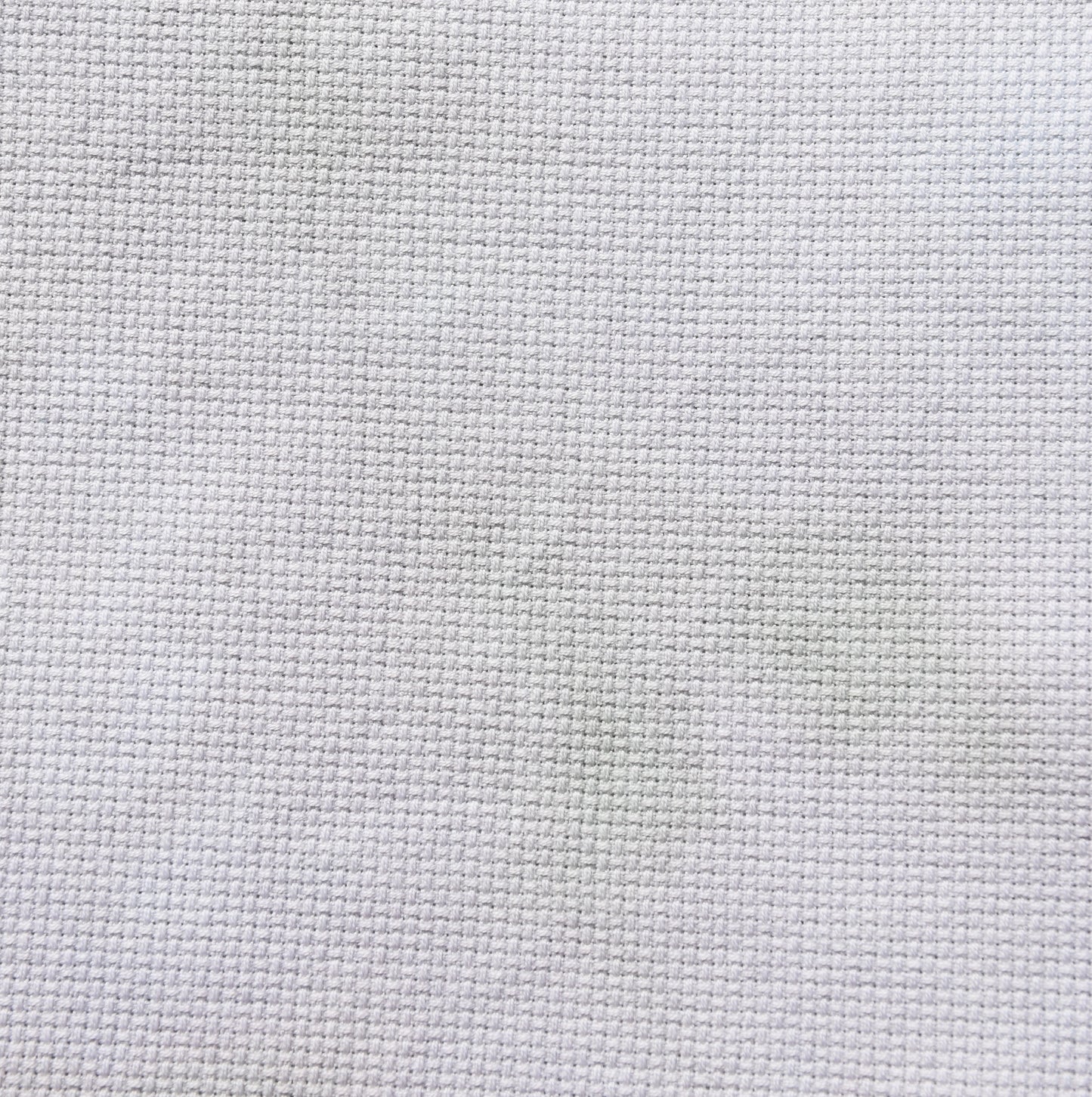 Enchanted Frog Prince