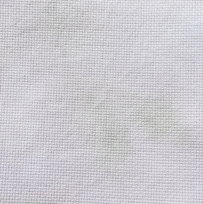 Enchanted Frog Prince