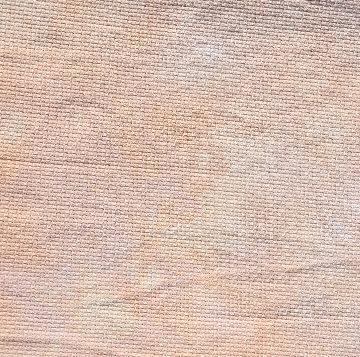 Ginger (Feb 2025 Neutral FOTM)