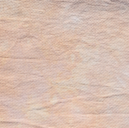 Ginger (Feb 2025 Neutral FOTM)