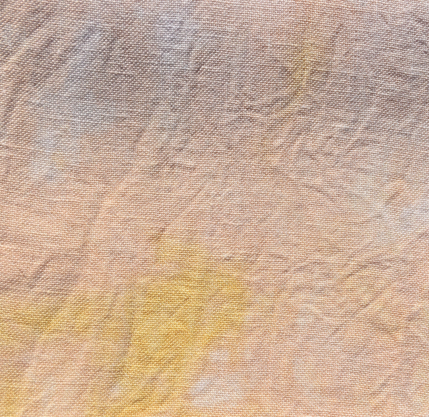 Ginger (Feb 2025 Neutral FOTM)