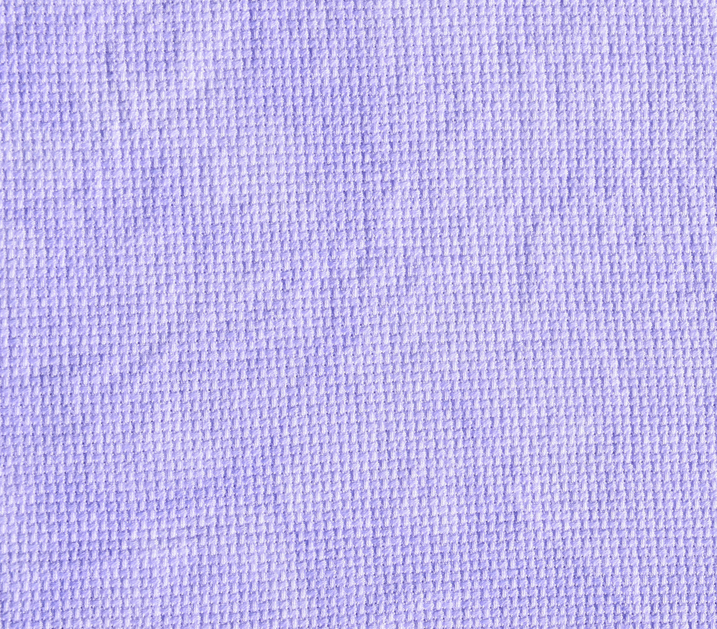 Winter Crocus (Jan 2025 Color FOTM)